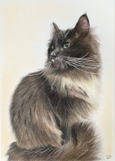 no12ゆあ-絵画-振り返る横顔